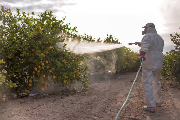 Best Bird Control  in Lebanon, OR